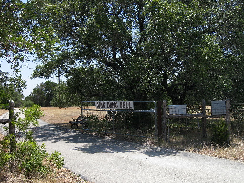1024px-Ding_Dong_Texas3