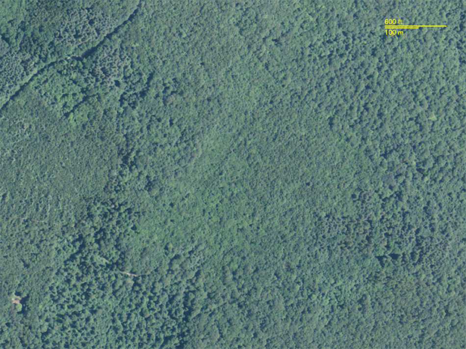A study site in New England showing a true colour satelite image and a LiDAR image from the same area. The LiDAR reveals the tracks of former civilisation that left building foundations, stone walls and roads behind and that can be observed in the relief. Source: National Geographic