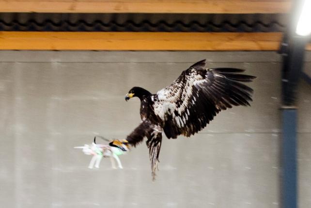 Dutch police drones Geoawesomeness