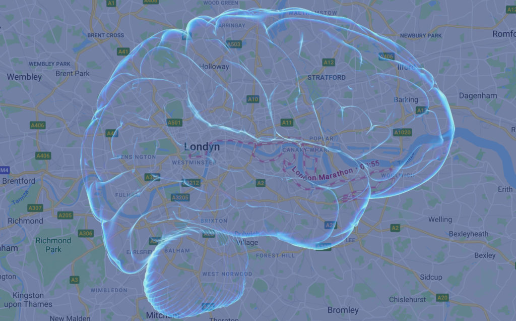 Google Maps Brain Cognitive Mental Map