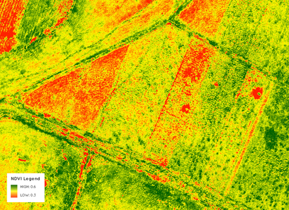 NDVI image Drone Remote Sensing Geoawesome