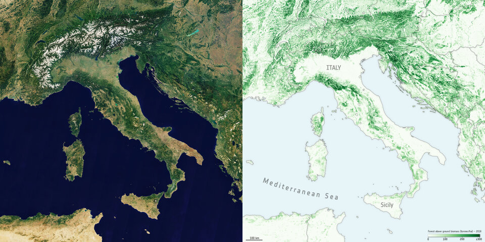 Biomass maps - Italy