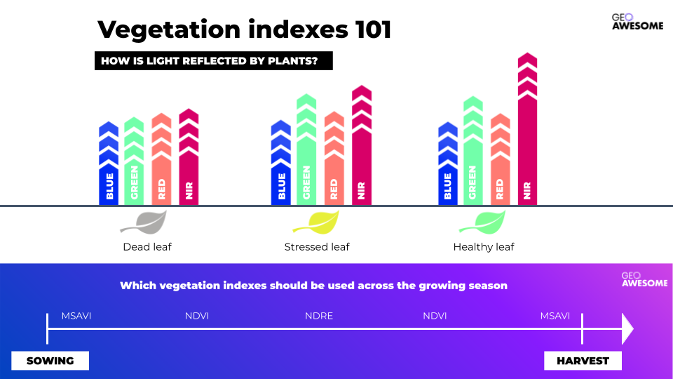 vegetation indices - explanation